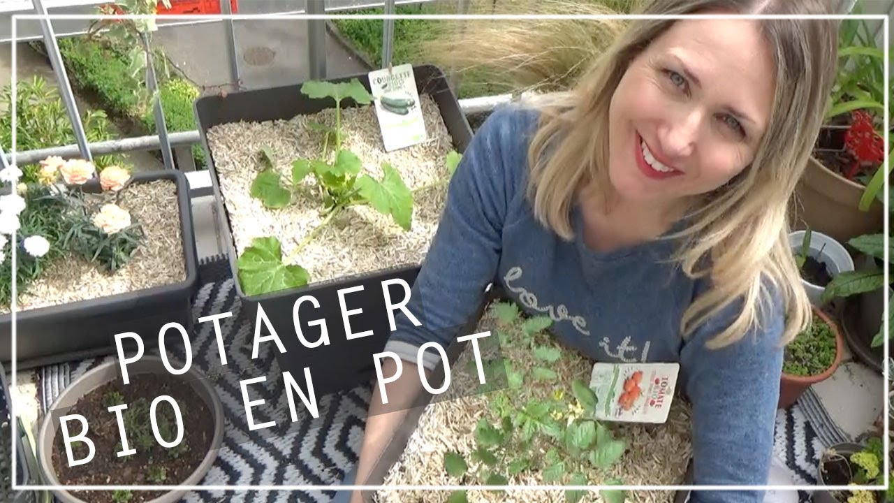 🍅 Potager Bio pour le balcon | Ma sélection 2019 Potager urbain