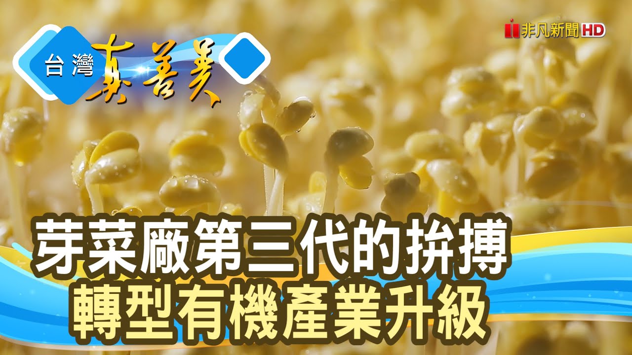 創新翻轉”豆芽菜鍍金”｜宏昇芽菜｜【台灣真善美】2024.01.28