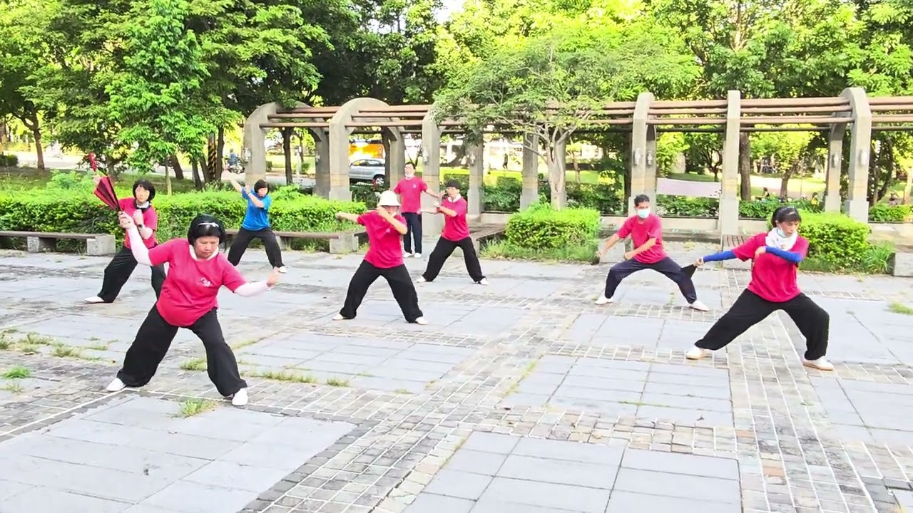 114/9/9沙鹿太極拳 練習影片460 H       W茂生