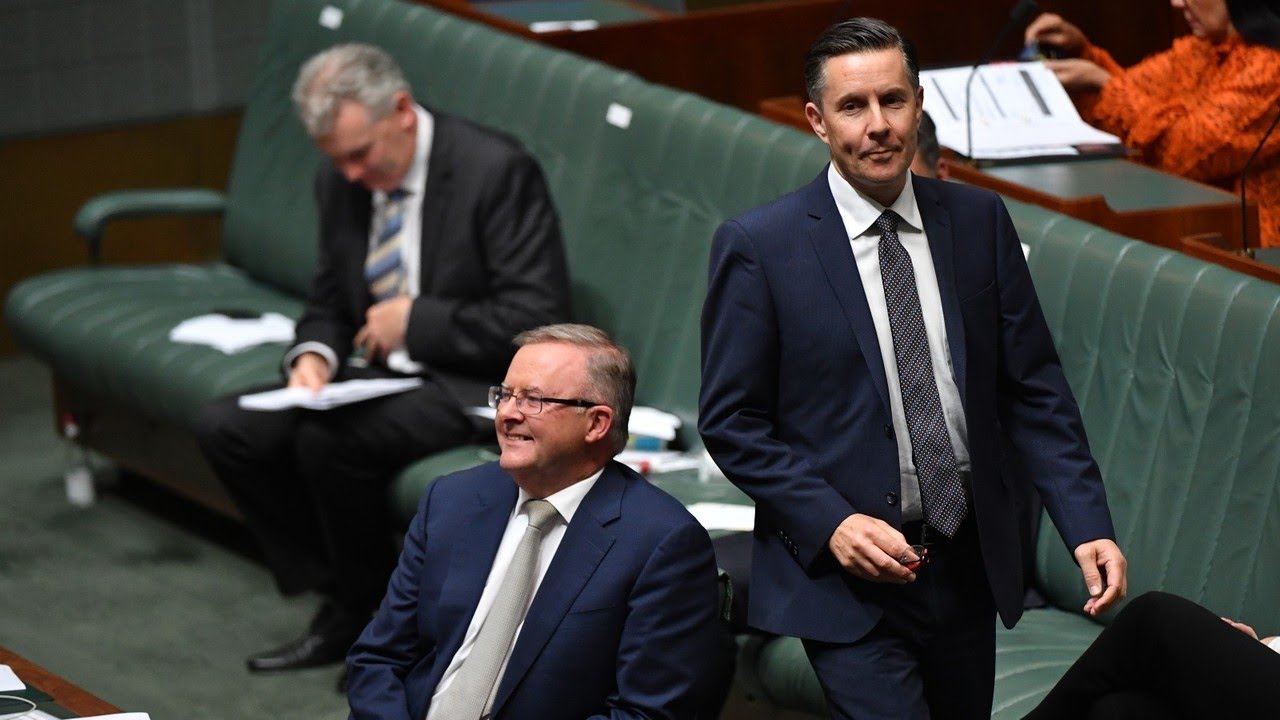 Labor has &lsquo;absurd diversity problems&rsquo; in MPs work backgrounds: Liberal MP