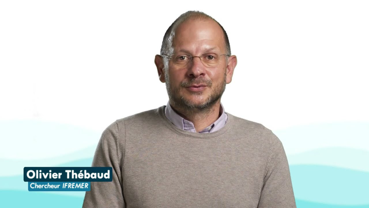 Les ressources halieutiques : gestion et conservation