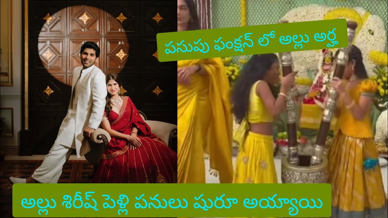 అల్లు శిరీష్ పెళ్లి పనులు షురూ అయ్యాయ్ #shirish pasupu function #shortsfeed #youtubeshorts #shorts