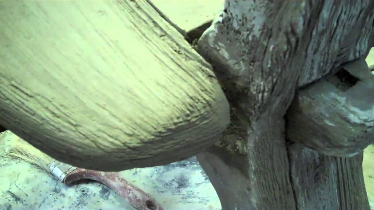 Ferrocement Faux Bois in Houston with Donald Tucker