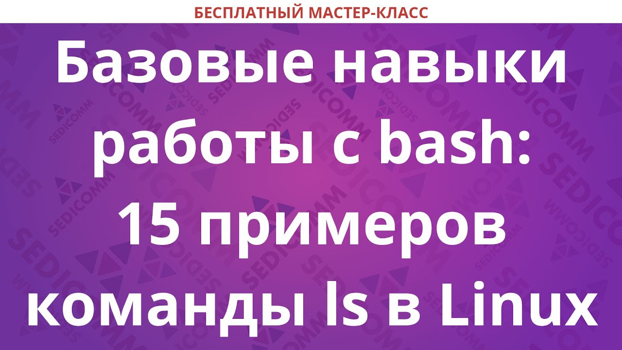 Базовые навыки работы с bash: 15 примеров команды ls в Linux