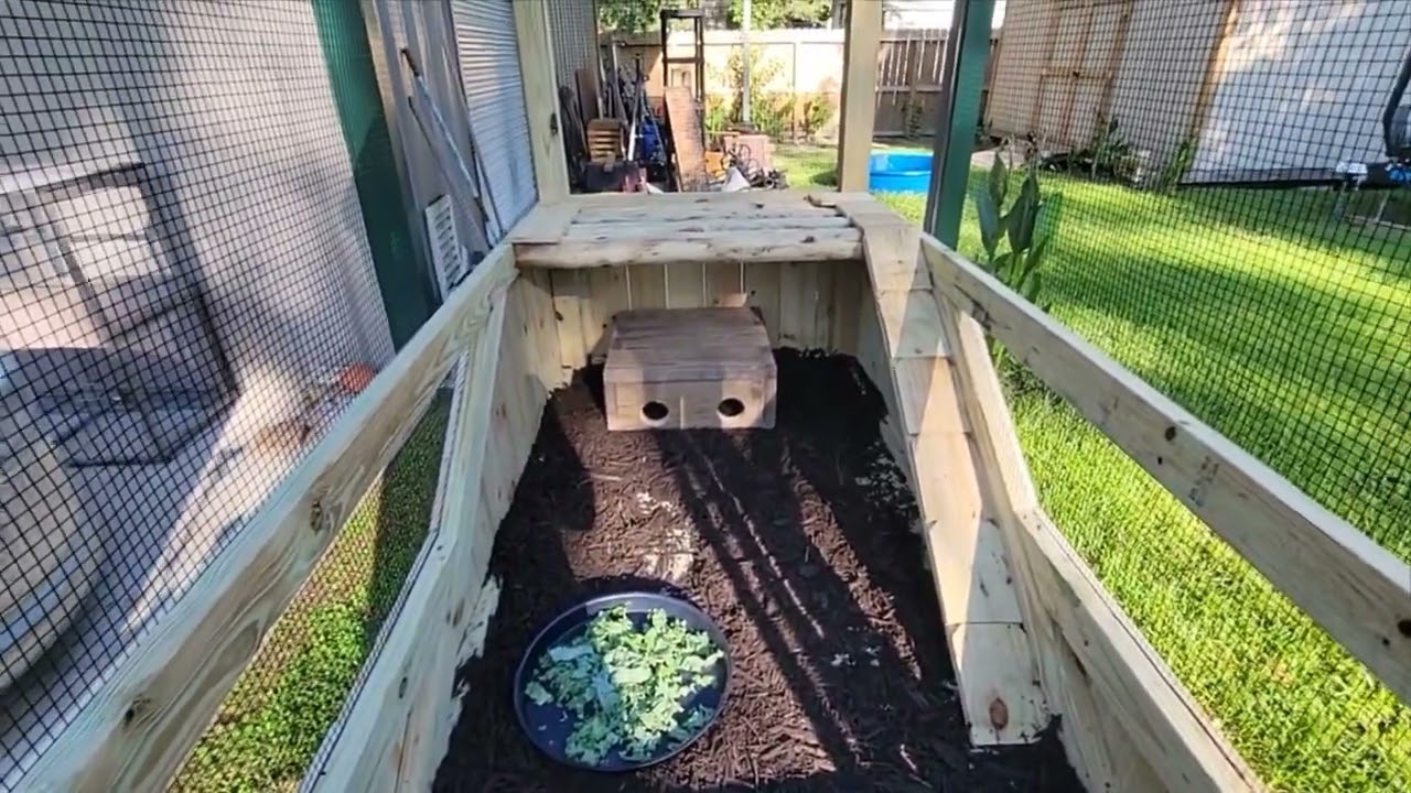 Rhino Iguana enclosure build!
