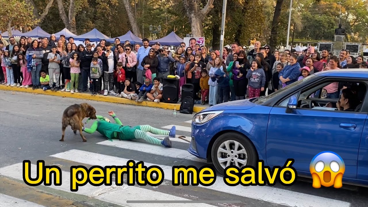 BUFÓN NAMASTÉ en Limache de Chile (2)