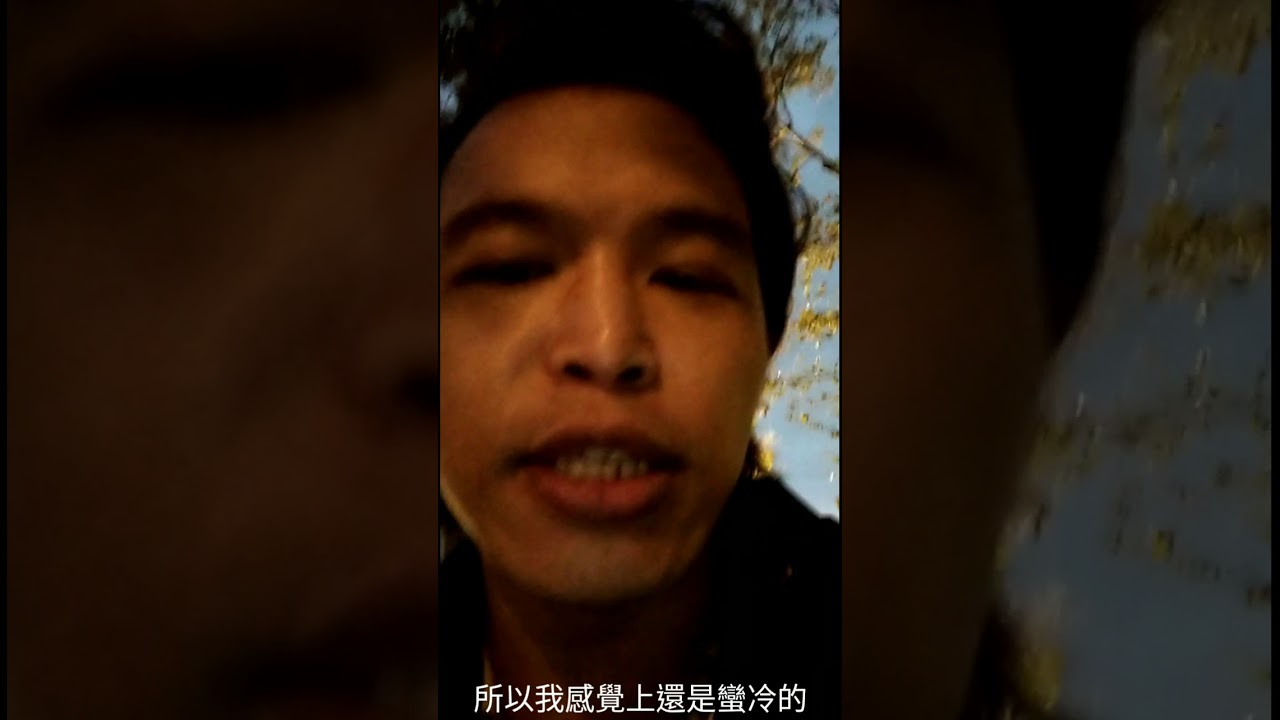 【成家大璽】