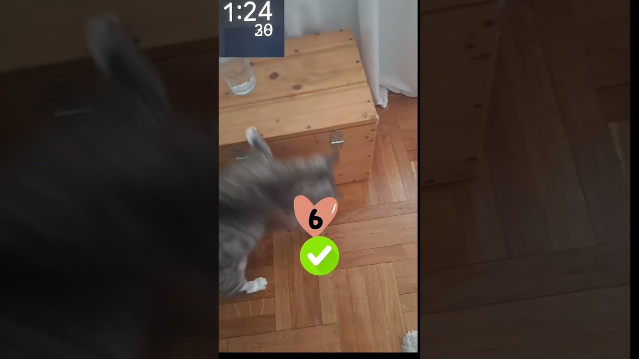 Milkina najdraža igra💜