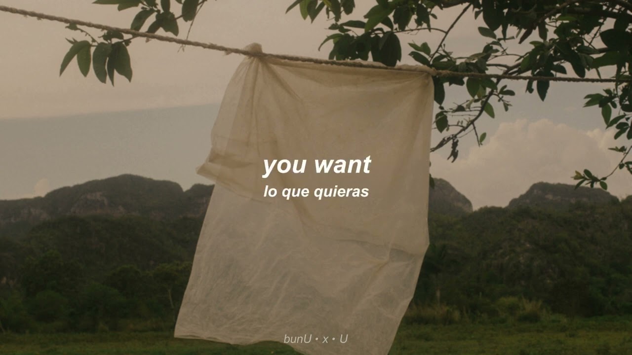 Haley Heynderickx - Worth it (lyrics & sub español)