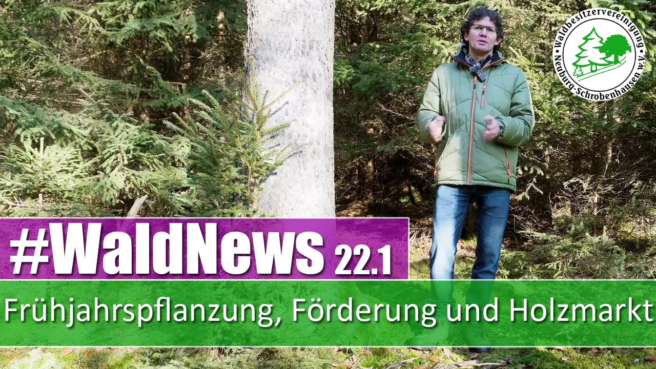 Frühjahrspflanzung, Förderung und Holzmarkt | Waldnews Ausgabe 22.1