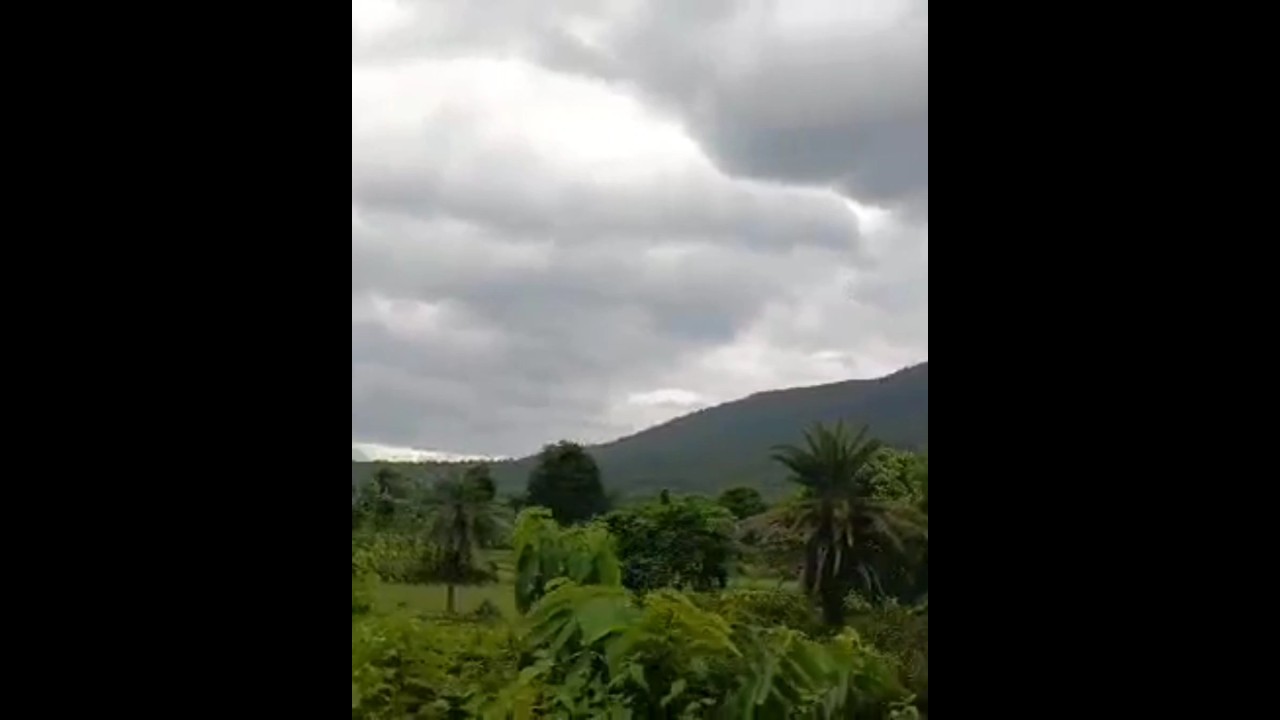Panchet hill🌳🏞️ #shorts #youtubeshorts #hill #hillview #viral #jharkhand