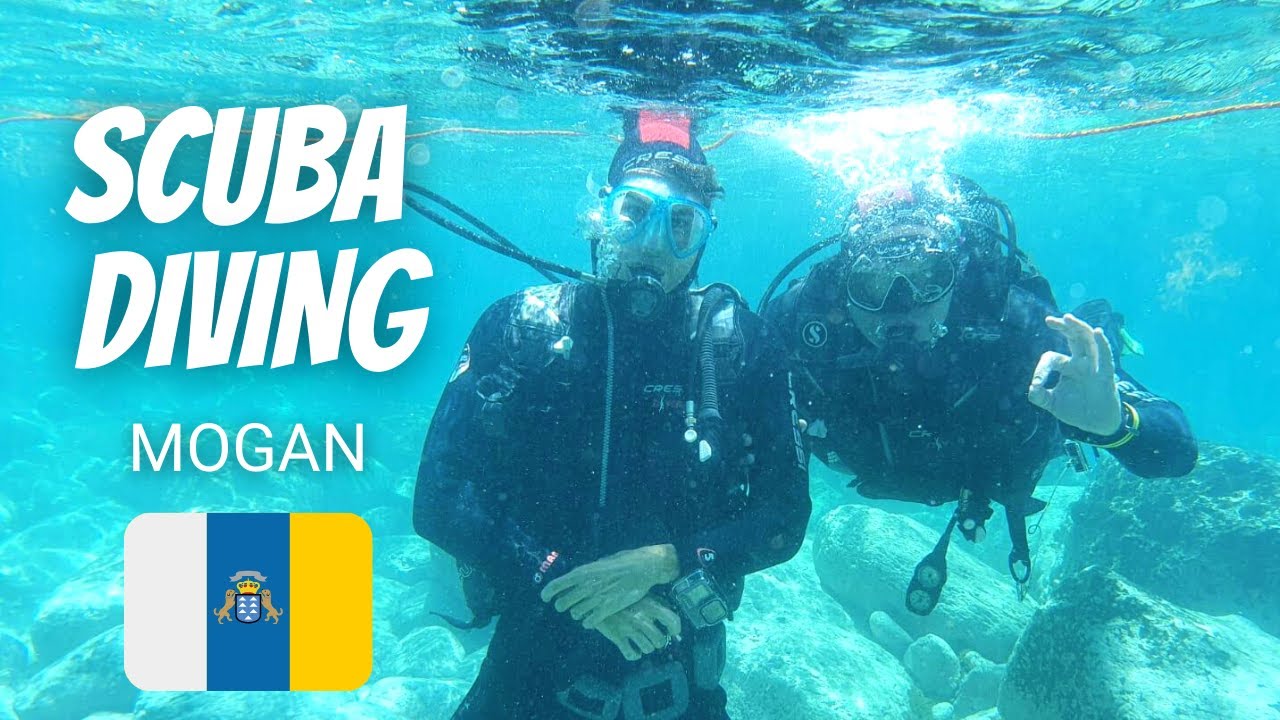 Scuba diving cave | Puerto de Mogán | Gran Canaria | 2021