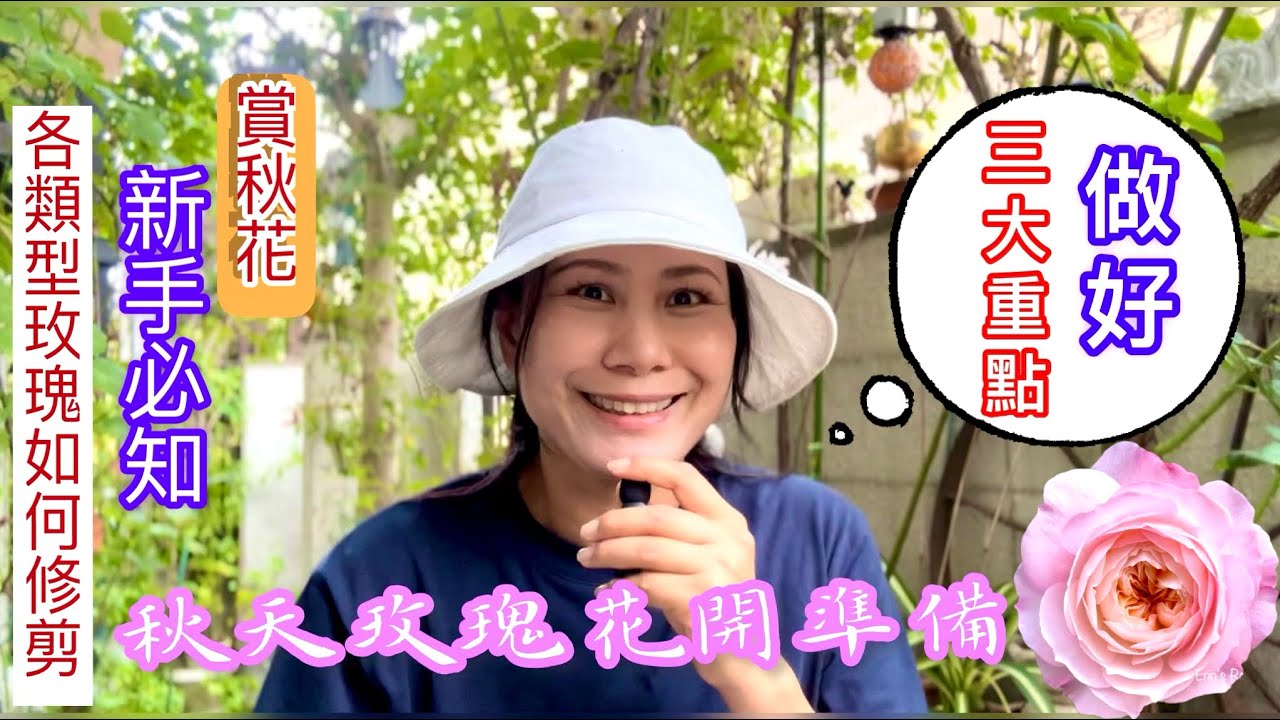 9月上旬玫瑰養護-各型態玫瑰修剪與下肥噴藥，為秋季花開做準備｜Preparing for Autumn Blooms