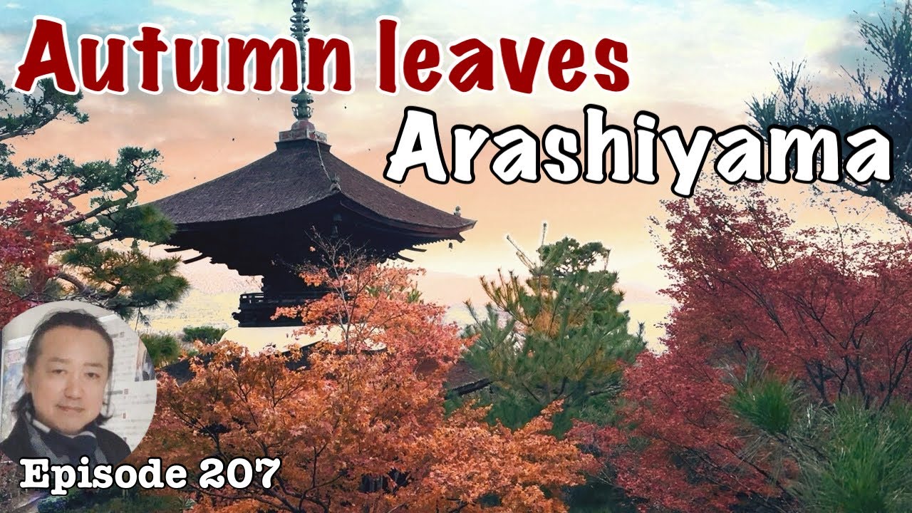 Autumn leaves in Arashiyama  Gioji temple and Jojakkoji temple [Deep Japan] 祇王寺 常寂光寺