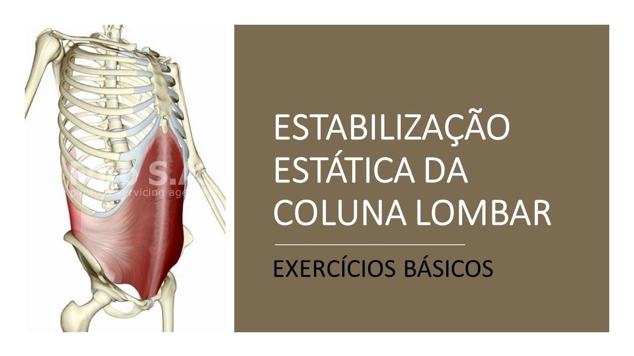 Exercícios de Estabilização Estática da Coluna Lombar