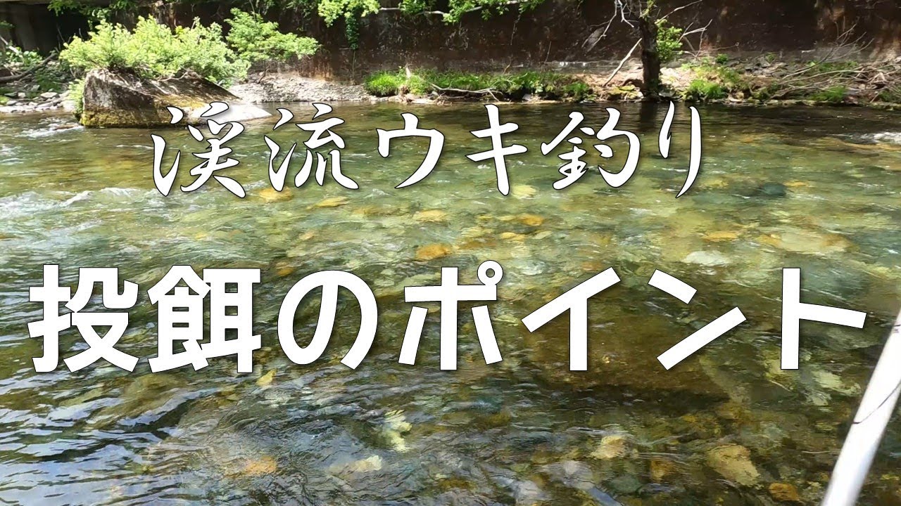 渓流ウキ釣り　投餌のポイント【ヤマメ】【イワナ】