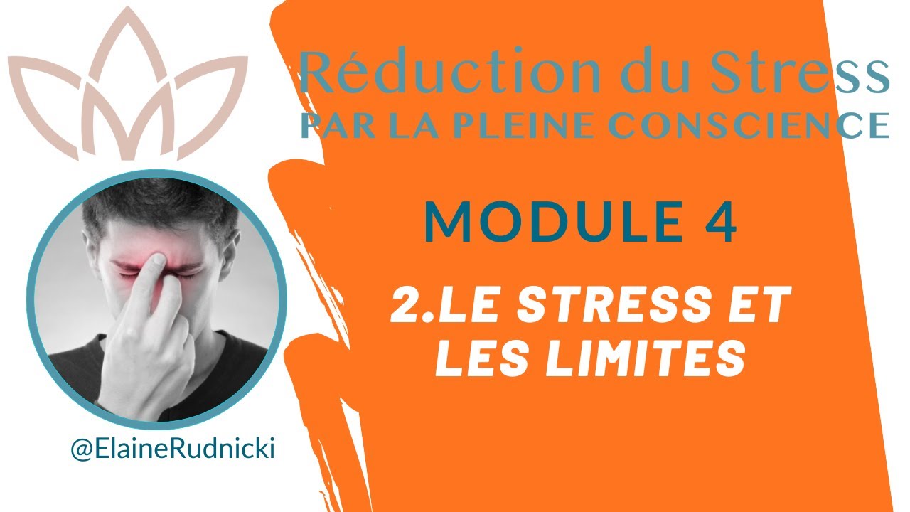 MBSR Module 4.2 Le Stress et les Limites