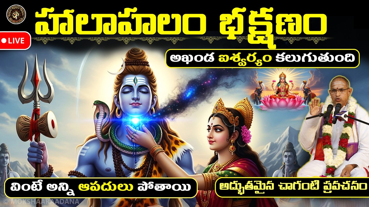 హాలాహలం భక్షణం🙏 మహాశివరాత్రి రోజు పూజ వింటే అన్ని ఆపదులు పోతాయి, అఖండ ఐశ్వర్యం కలుగుతుంది: చాగంటి