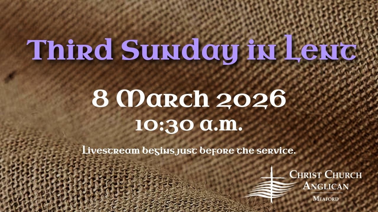 8 March 2026