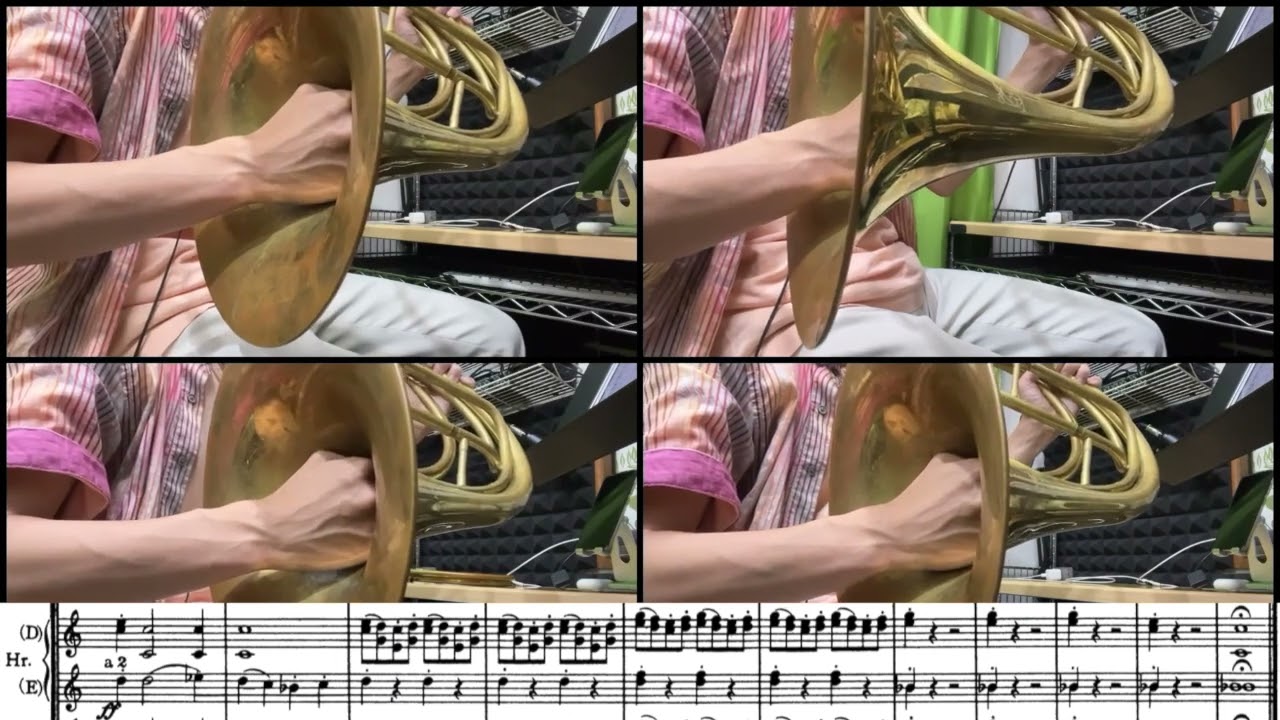 [Natural Horn] Brahms - Symphony No.2, mov.4