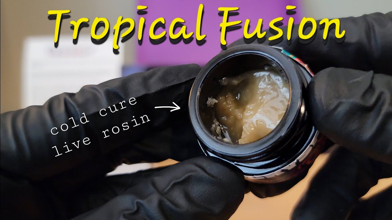 Tropical Fusion - Cold Cure Live Rosin from Crysp - THCa Review