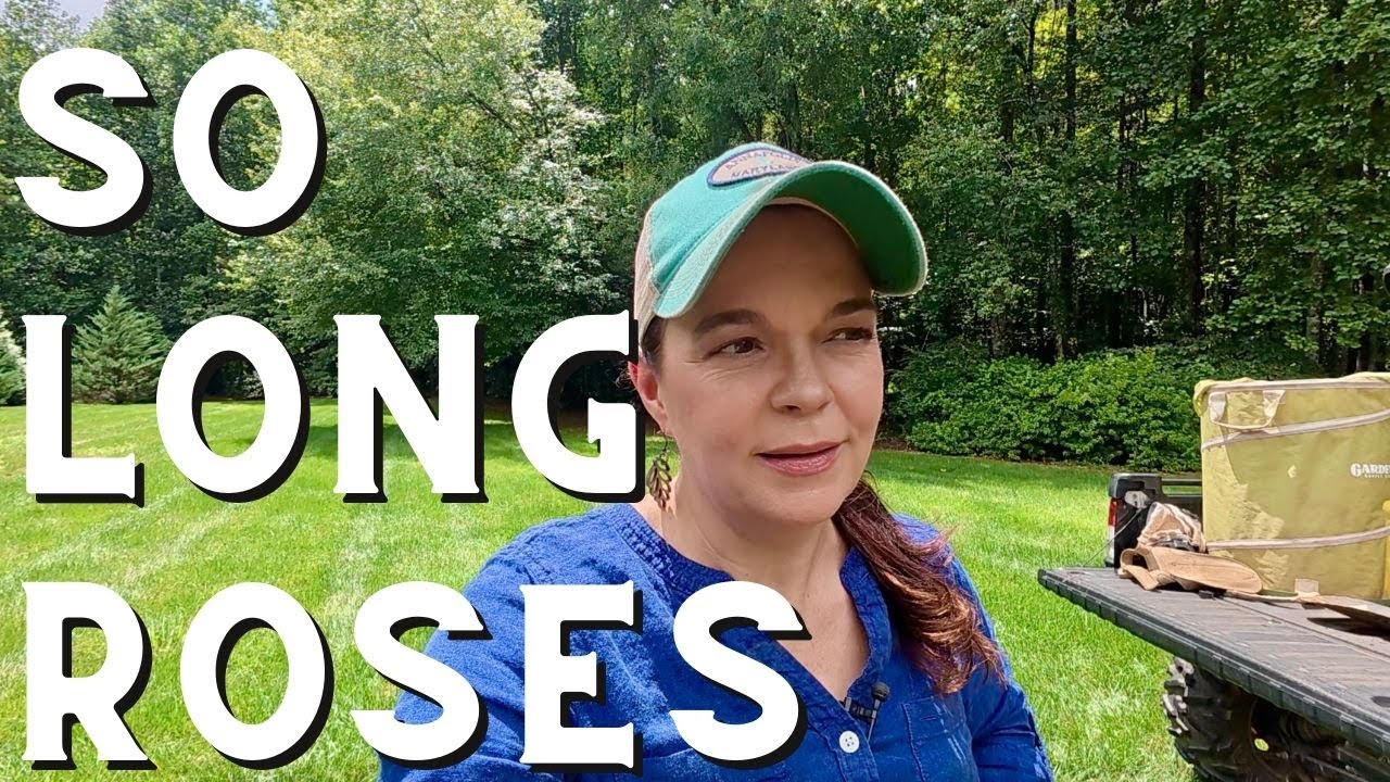 Deadly Discovery - Rose Rosette Disease in the Garden