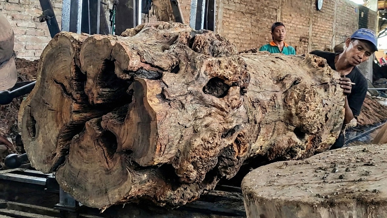 How a Modern Sawmill Cuts Massive Logs with Extreme Precision