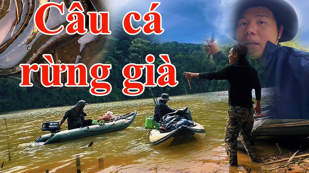 11 cây cần cắm mà dính cả bầy chạch lớn