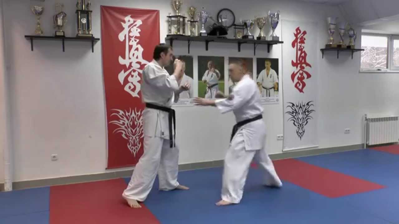 Кумите шихана Алексея Горохова. Урок 4: Маваши гери джодан (Mawashi geri jodan)