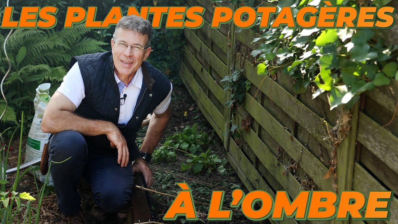 NOTRE DÉVELOPPEMENT DES PLANTES POTAGÈRES À L'OMBRE - Que Faire Dans Mon Jardin ? Semaine 22