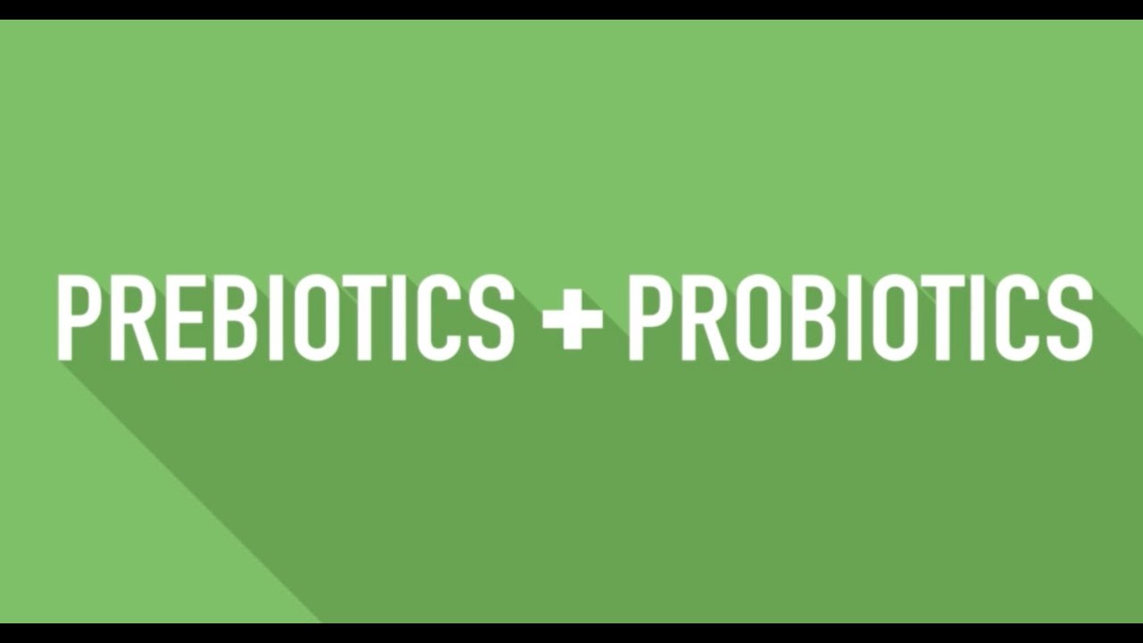 Pre/o Biotics - Learn About Probiotics and Prebiotics in Under 3 Minutes