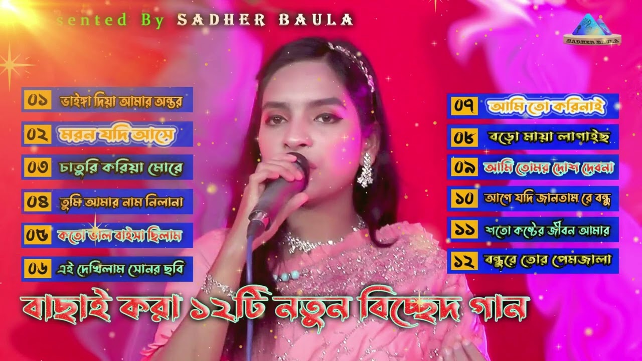 Best of julekha sarkar | Julekha sarkar albam | জুলেখা সরকারের নতুন বিচ্ছেদ এলবাম | 2024 mp3
