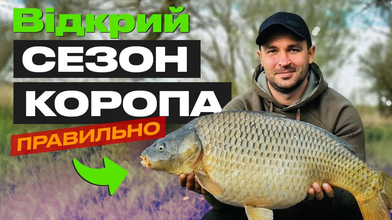 🔥 10 ПОРАД ЯК ЛОВИТИ КОРОПА РАННЬОЮ ВЕСНОЮ від чемпіона України