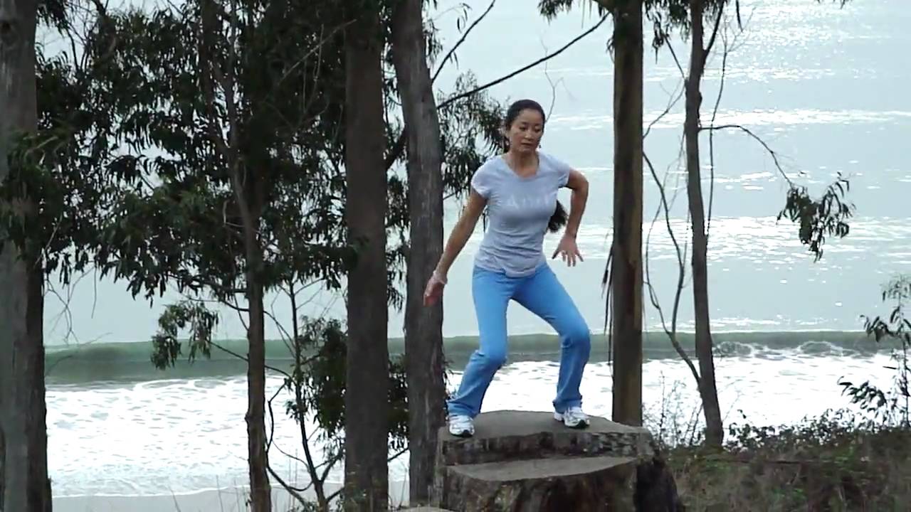 GuiGen Qi Gong with ShuLei