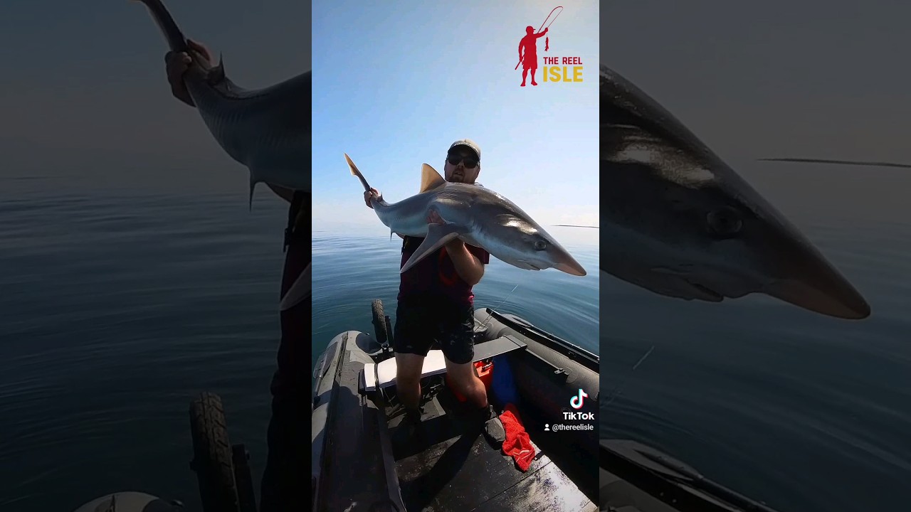 Easy Shark Fishing Rigs: Catch Small Sharks Like a Pro! 