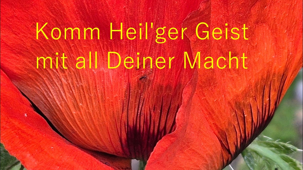 Komm Heil'ger Geist, mit deiner Macht
