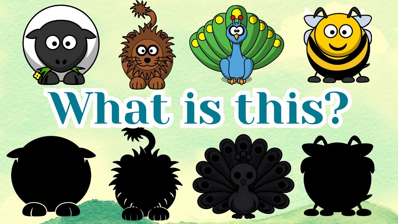 What is this: Bee, donkey, Lion, peacock, ewe - Animals quiz