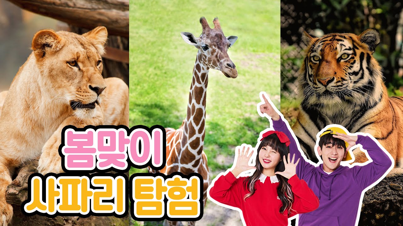봄이 왔어요!~따뜻한 봄날 에버랜드의 동물친구들은 무엇을 하며 지낼까요? 에버랜드 사파리월드 로스트밸리 투어