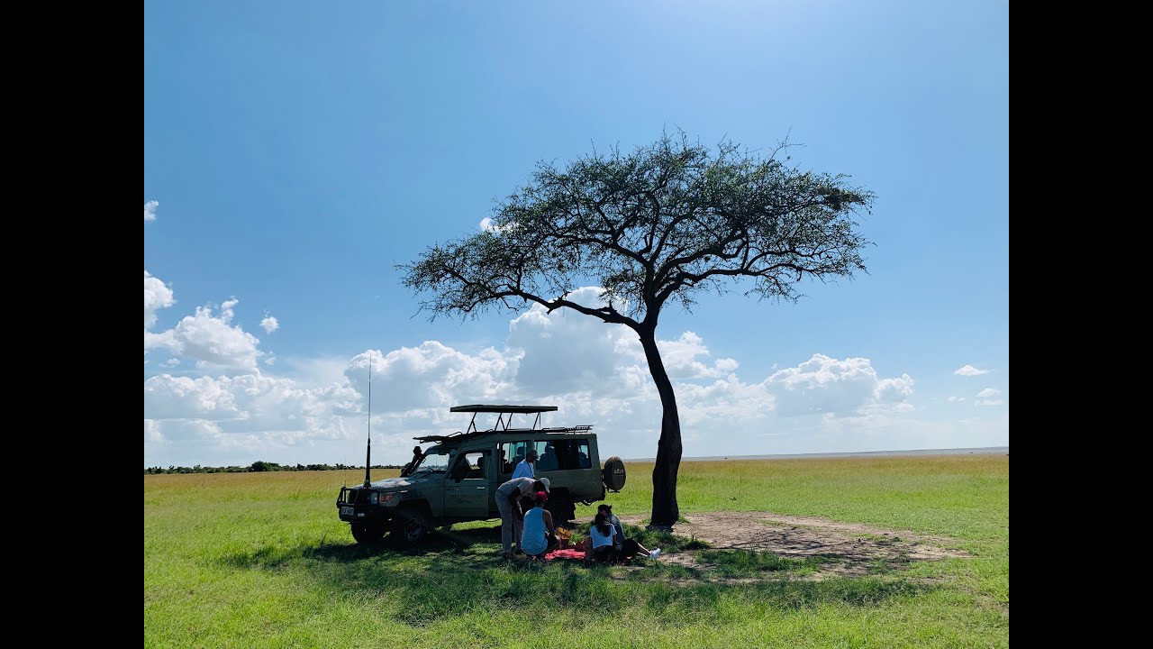 Safari / Mara Camp / Masai Mara / Kenya Mara Serena Safari Lodge/ Game drive