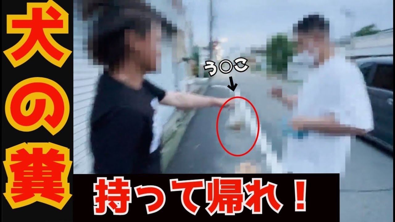 放置された犬の糞、そのままお返しします。