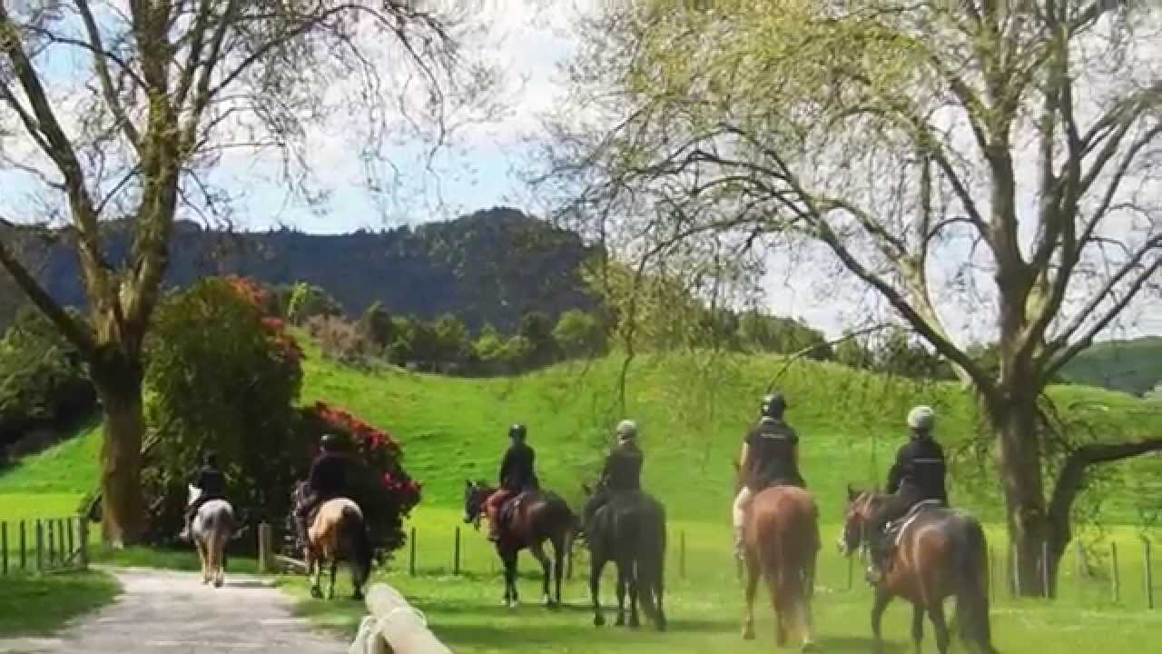 NZ#4 Lake Okareka - HelpX at Horse Trekking Lake Okareka + OUTTAKES etc.