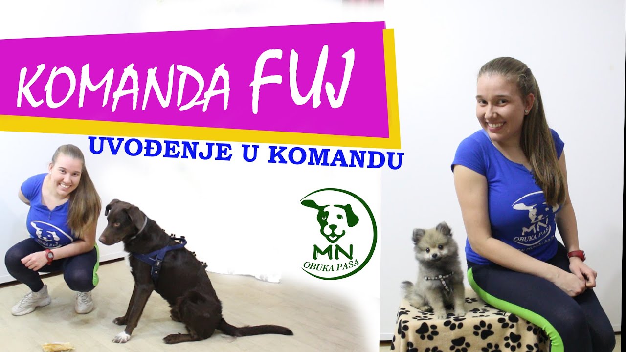 KAKO NAUČITI PSA KOMANDU FUJ | POČETAK | MN OBUKA PASA I EDUKACIJA VLASNIKA