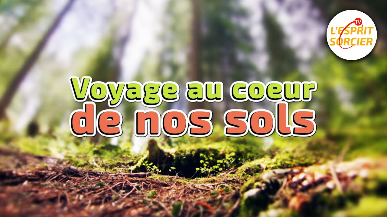 Voyage au coeur de nos sols