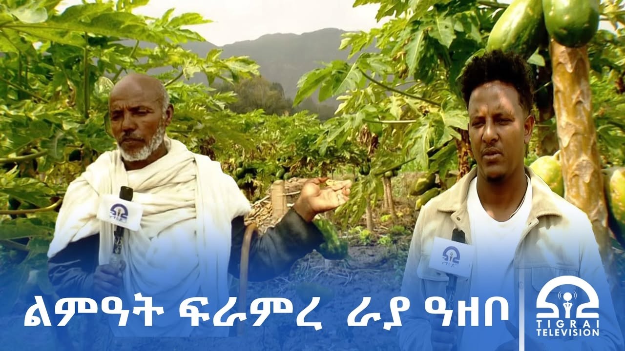 ‎ልምዓት ፍራምረ ኣብ ምምሕያሽ መነባብሮኦም ለውጢ የምፅአሎም ከምዘሎ ሓረስቶት ወረዳ ራያ ዓዘቦ ገሊፆም።