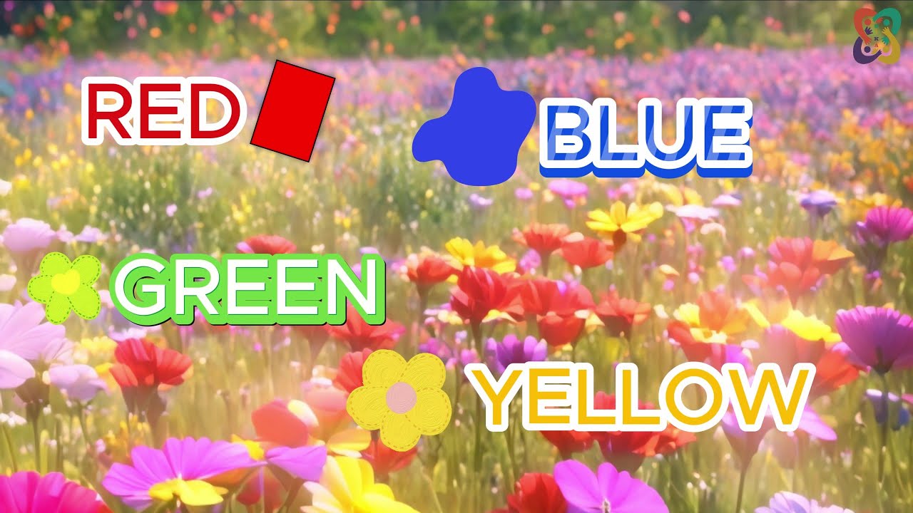 Colors and Shapes 🚒🌻🌞🎂🦓 | 🎶 Educational and Fun Baby and Children's Songs 🎶 | 👶BİKA BABY & KİDS 👶