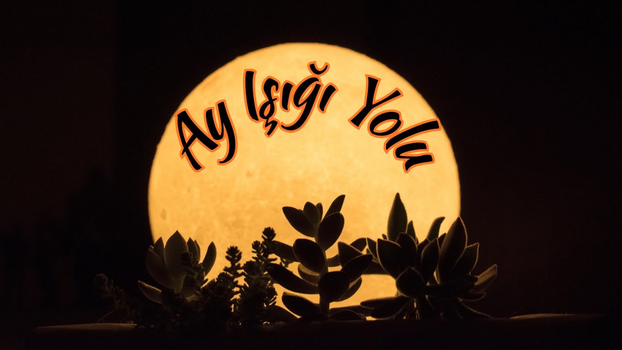 Ay Işığı Yolu