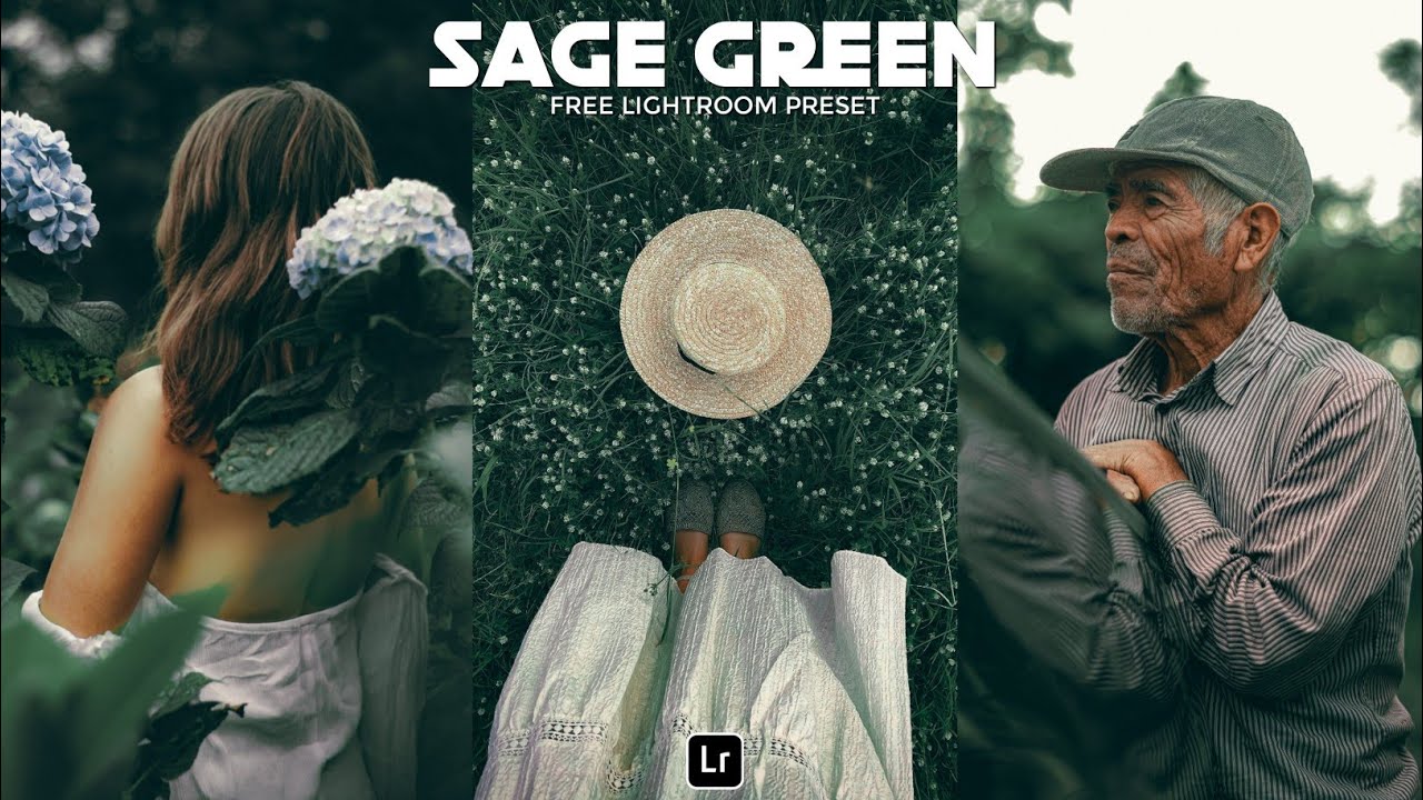 Пресет Sage Green | Бесплатный пресет Lightroom Mobile DNG | обучающий материал по Lightroom | пр...