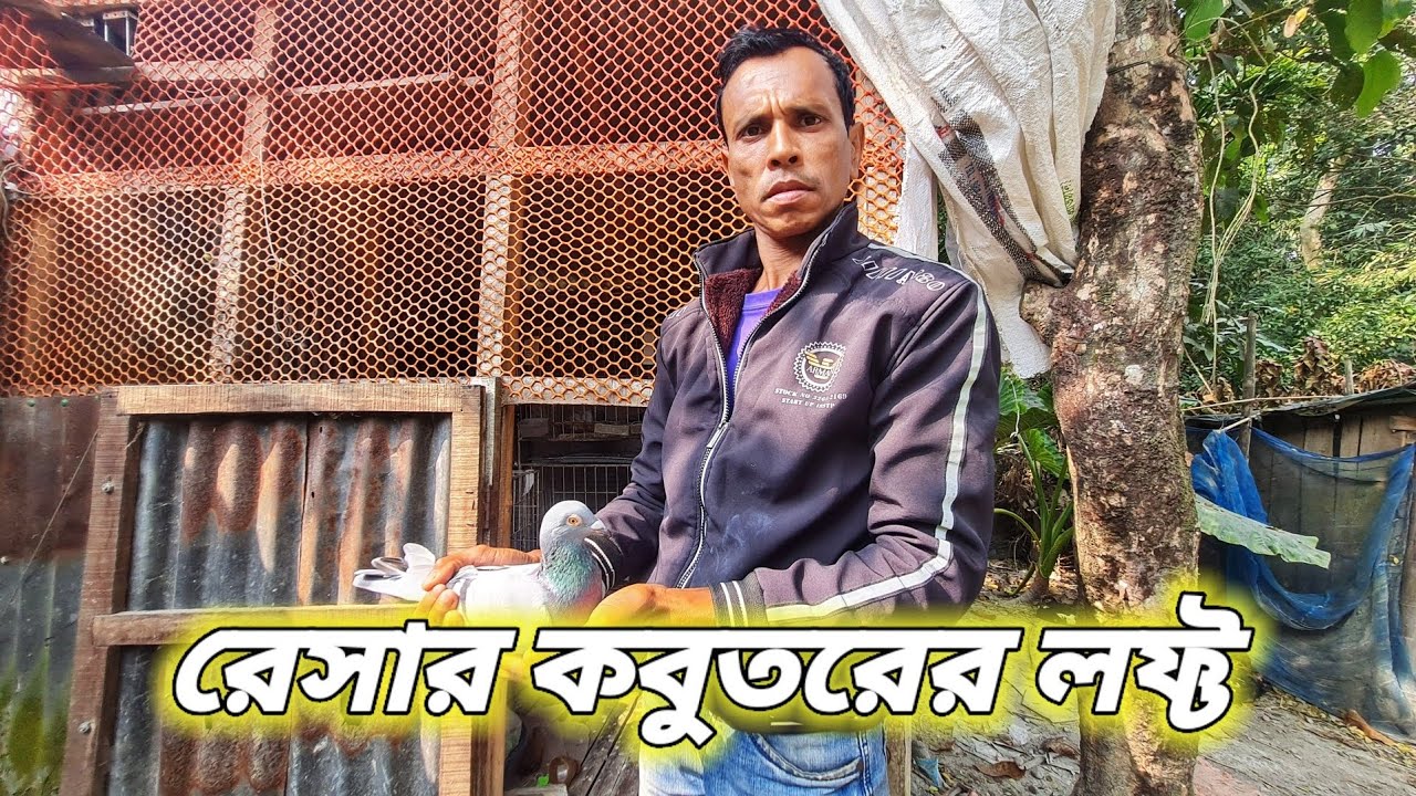 গ্রামের সহজ সরল একজন কবুতর পালন🥰