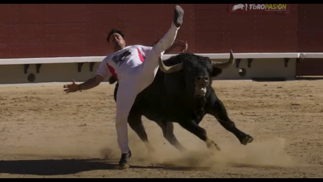 ❗️CASTELLÓN FINAL CAMPEONATO DE ESPAÑA - 5 Noviembre 2023❗️