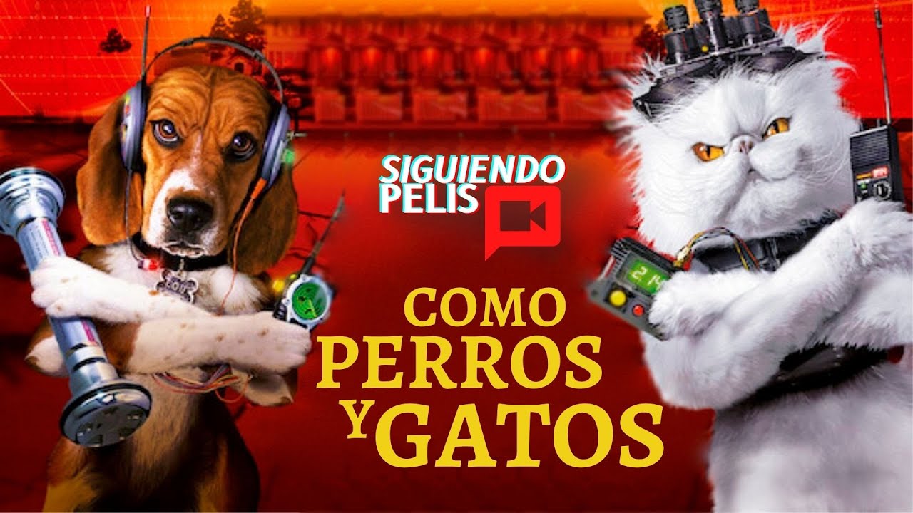 COMO PERROS Y GATOS | RESUMEN EN 12 MINUTOS